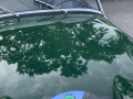 Frogeye Geschichte - Mein Austin Healey MK I - Frosch
