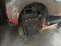 Frogeye Geschichte - Mein Austin Healey MK I - Frosch