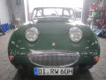 Frogeye Geschichte - Mein Austin Healey MK I - Frosch