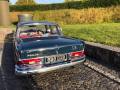 Oldtimer spotted