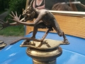 Oldtimer spotted