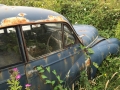 Oldtimer spotted