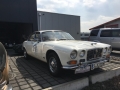 Oldtimer spotted