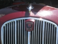 Morris 8