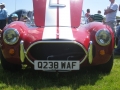 Cobra AC Shelby