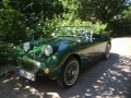 Frogeye Geschichte - Mein Austin Healey MK I - Frosch