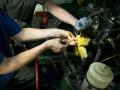 Frogeye Geschichte - Mein Austin Healey MK I - Frosch