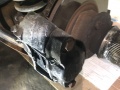 Frogeye Geschichte - Mein Austin Healey MK I - Frosch