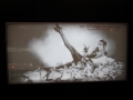 1925 Karrierebeginn Josephine Baker