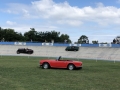 Frogeye Geschichte - Mein Austin Healey MK I - Frosch