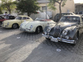 Targa Florio Classica 2024