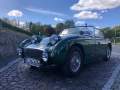 Frogeye Geschichte - Mein Austin Healey MK I - Frosch