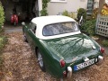 Frogeye Geschichte - Mein Austin Healey MK I - Frosch