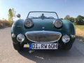 Frogeye Geschichte - Mein Austin Healey MK I - Frosch