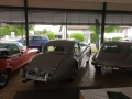 Frogeye Geschichte - Mein Austin Healey MK I - Frosch