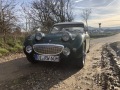 Frogeye Geschichte - Mein Austin Healey MK I - Frosch