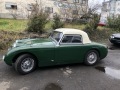 Frogeye Geschichte - Mein Austin Healey MK I - Frosch