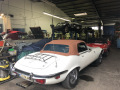 Frogeye Geschichte - Mein Austin Healey MK I - Frosch