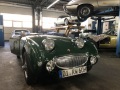 Frogeye Geschichte - Mein Austin Healey MK I - Frosch