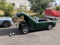 Frogeye Geschichte - Mein Austin Healey MK I - Frosch